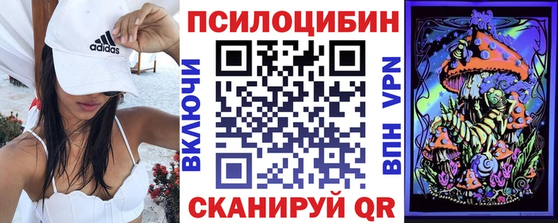 Купить где  Пугачёв  Псилоцибиновые грибы GOLDEN TEACHER 